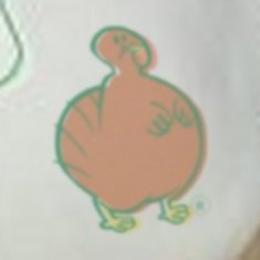 Fatty Turkey